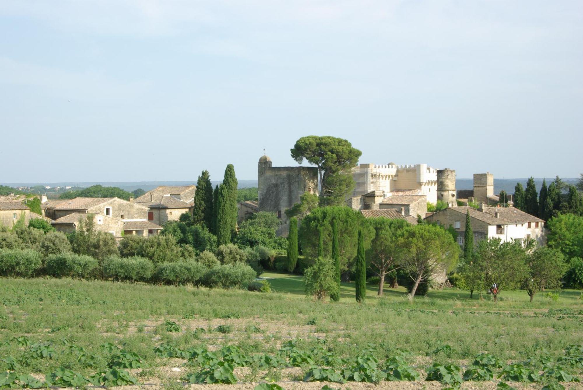 Tour Sarrazine De Montaren Bed and Breakfast Exterior foto